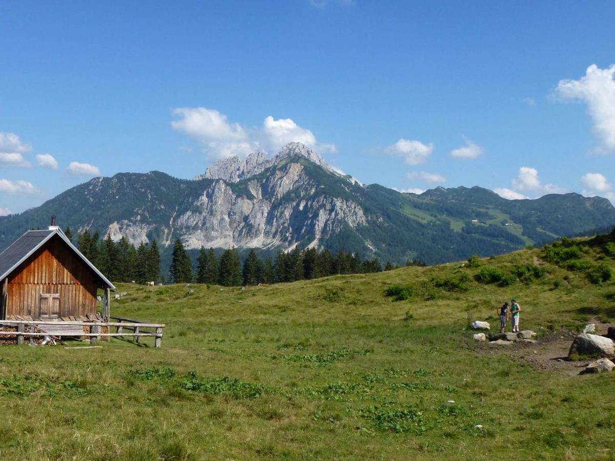Apartment In Tr Polach Carinthia With Pool Tröpolach エクステリア 写真